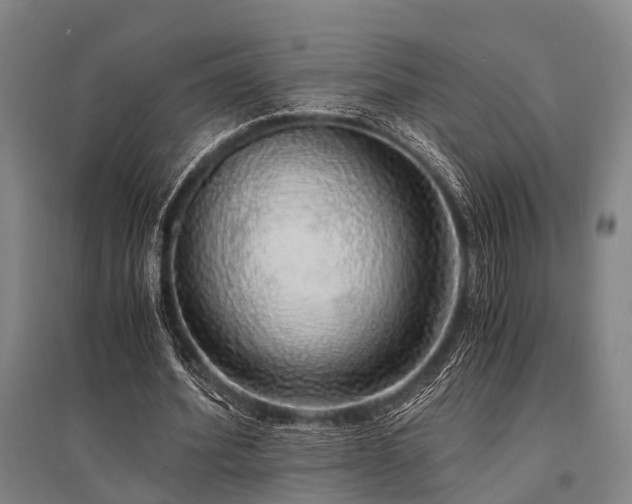 X0000095520580200712141448