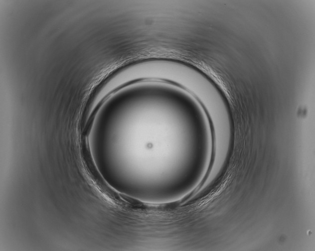 X0000095520581200712141448