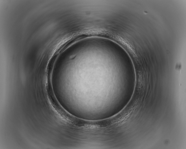 X0000095520582200712141448