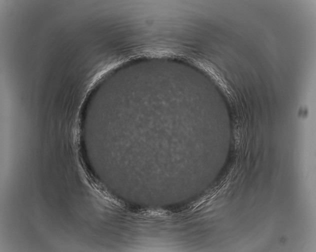X0000095520583200712141448