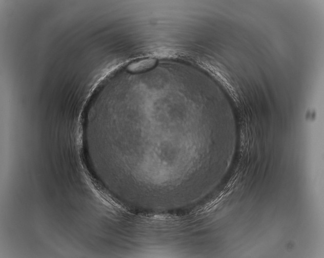 X0000095520584200712141448