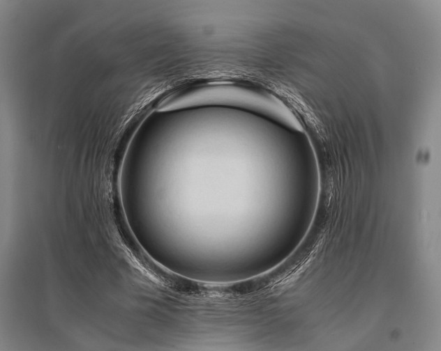 X0000095520585200712141448