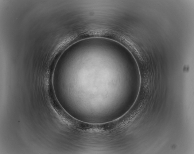 X0000095520586200712141448