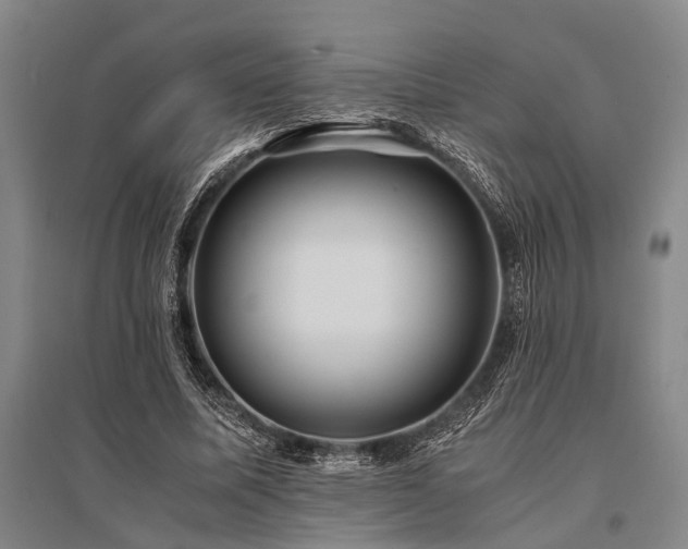 X0000095520587200712141448