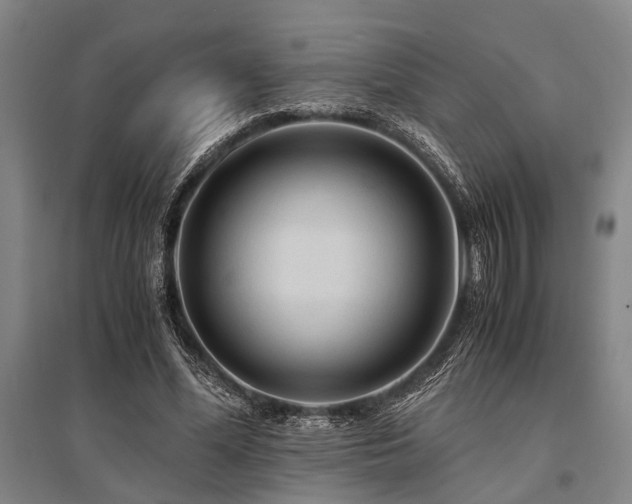 X0000095520588200712141448