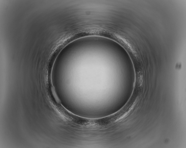 X0000095520589200712141448