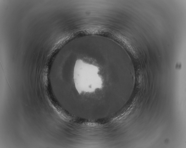 X0000095520590200712141448