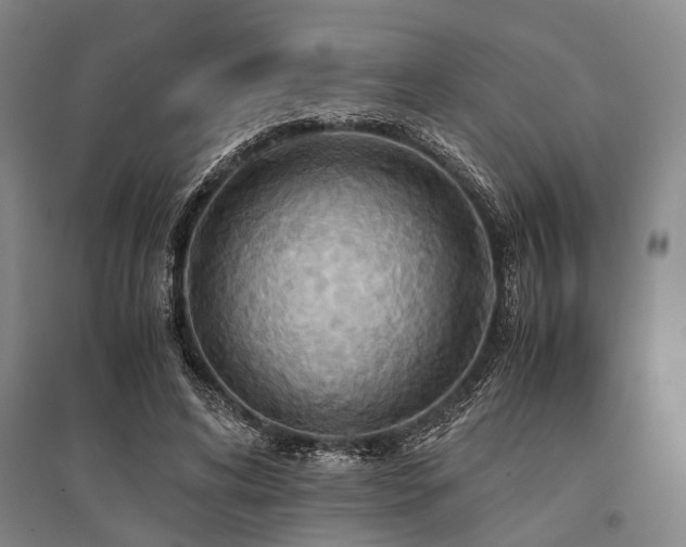 X0000095520592200712141447