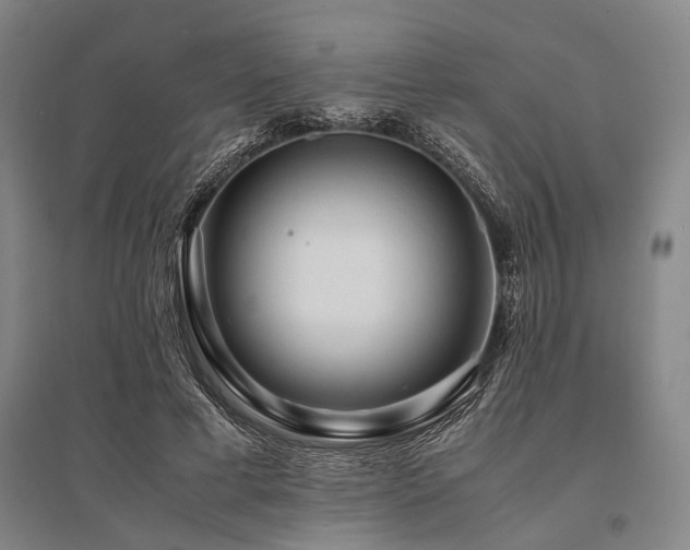 X0000095520593200712141447