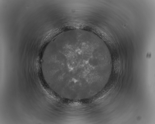 X0000095520594200712141447