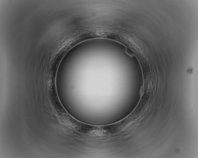 X0000095520595200712141447