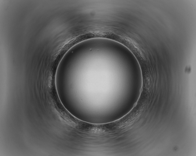 X0000095520596200712141447