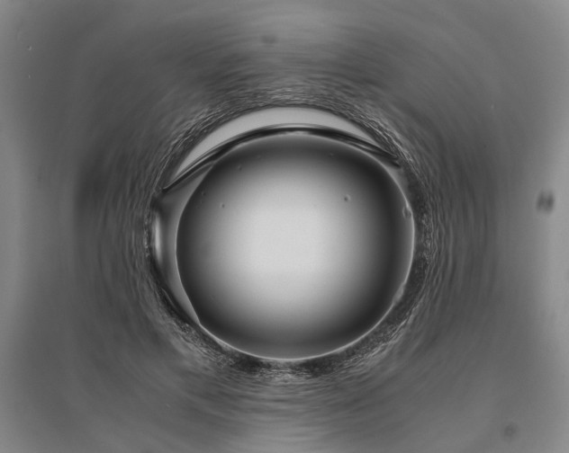 X0000095520597200712141447
