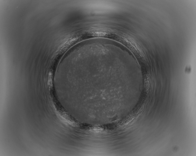 X0000095520598200712141447