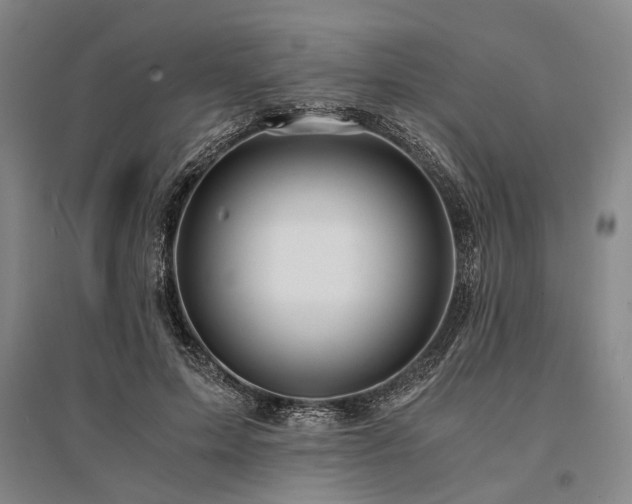 X0000095520599200712141447