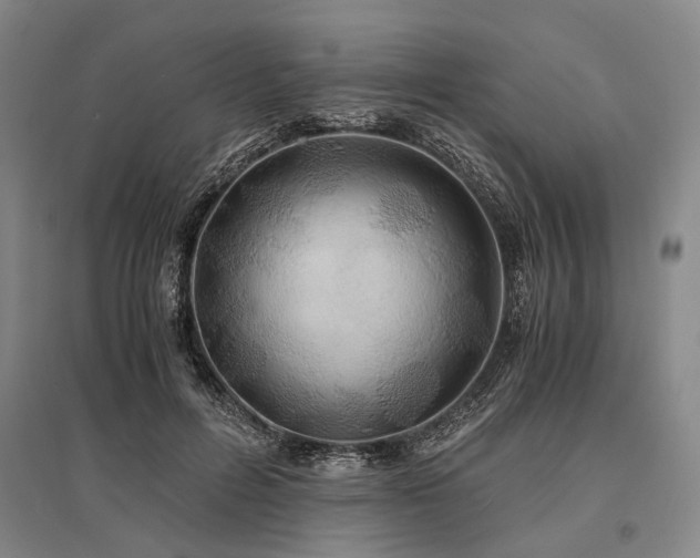 X0000095520600200712141447