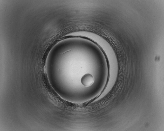 X0000095520601200712141447