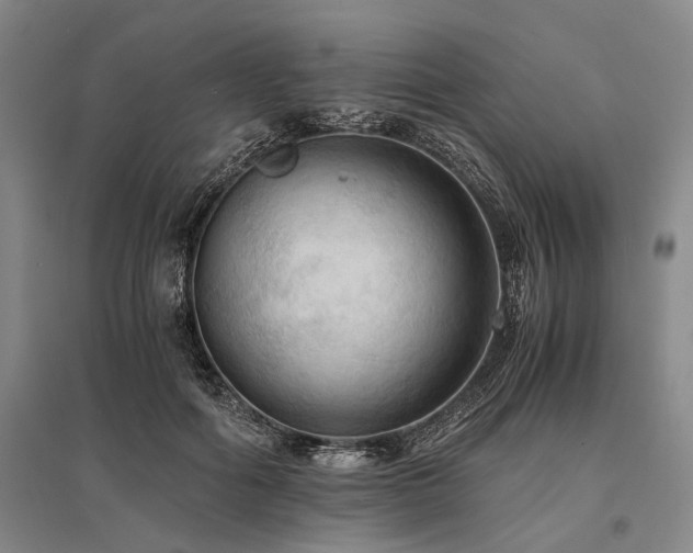 X0000095520602200712141447