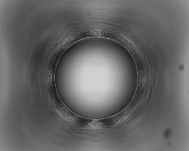 X0000095520603200712141447