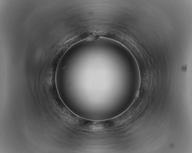 X0000095520604200712141447