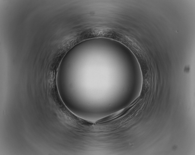 X0000095520605200712141447