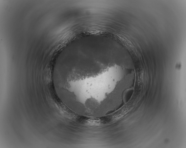 X0000095520606200712141447