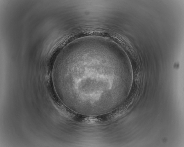 X0000095520607200712141447