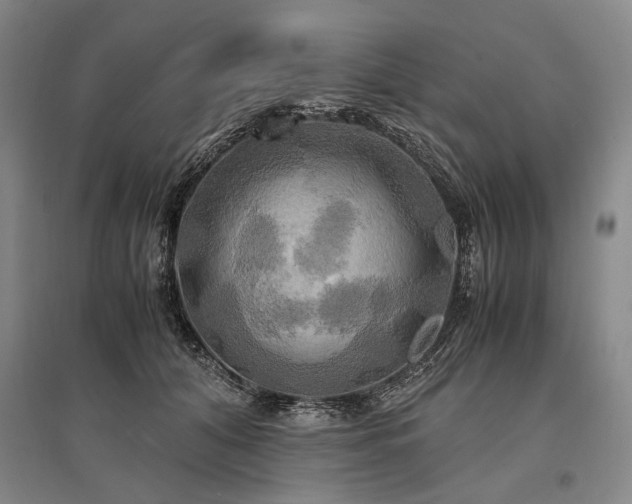 X0000095520608200712141447