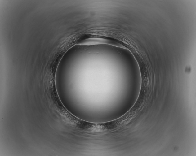 X0000095520609200712141447