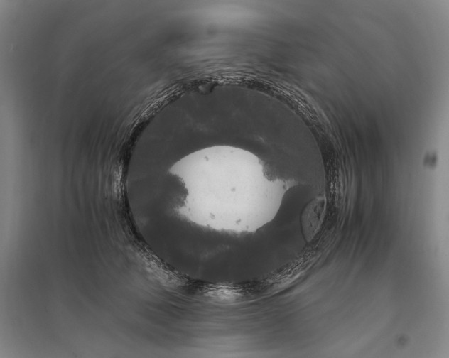 X0000095520610200712141447