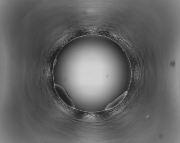X0000095520611200712141447