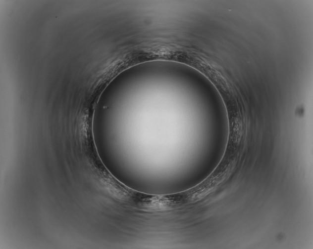 X0000095520612200712141447
