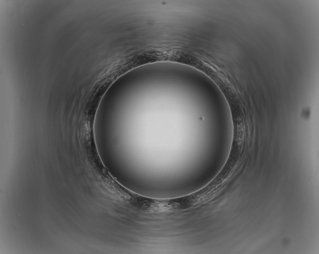 X0000095520613200712141447