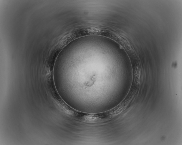 X0000095520614200712141447
