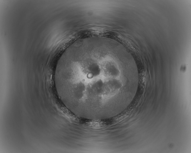 X0000095520615200712141447