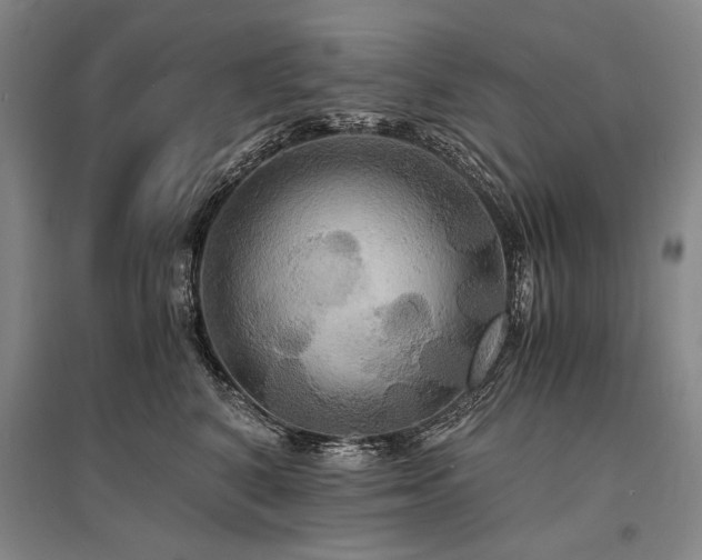 X0000095520616200712141447