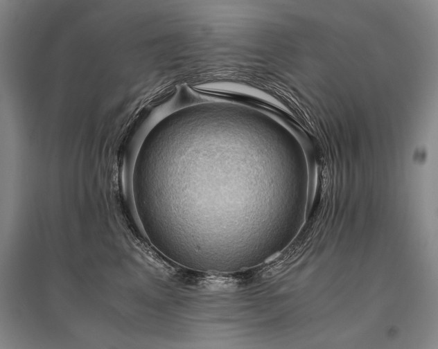 X0000095520617200712141447
