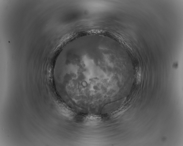 X0000095520619200712141447