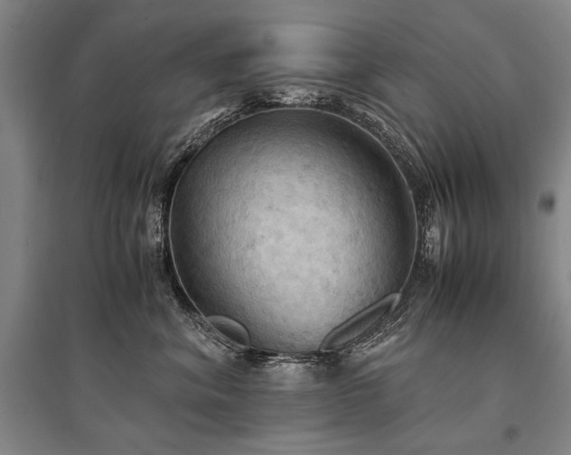 X0000095520620200712141447