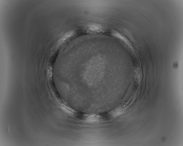 X0000095520621200712141447