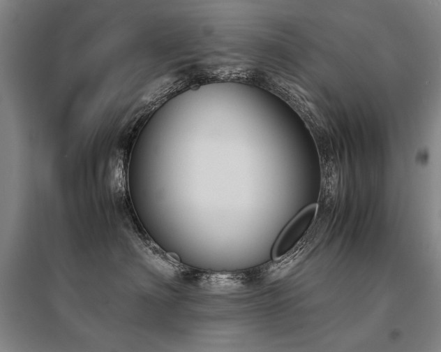 X0000095520622200712141447