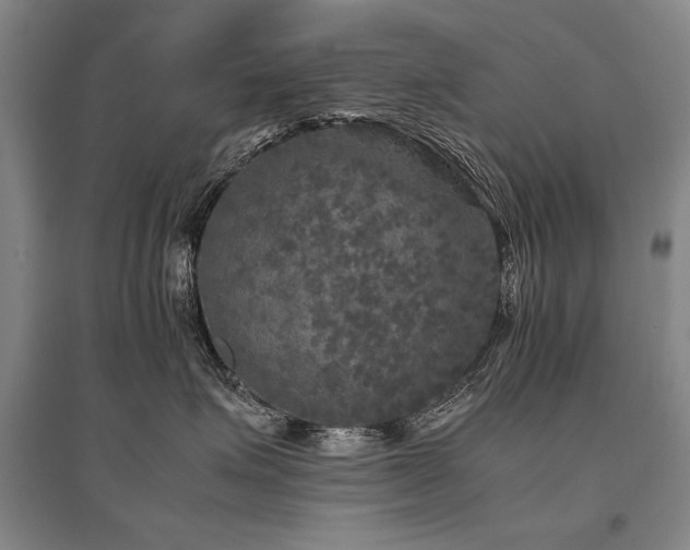 X0000095520623200712141447