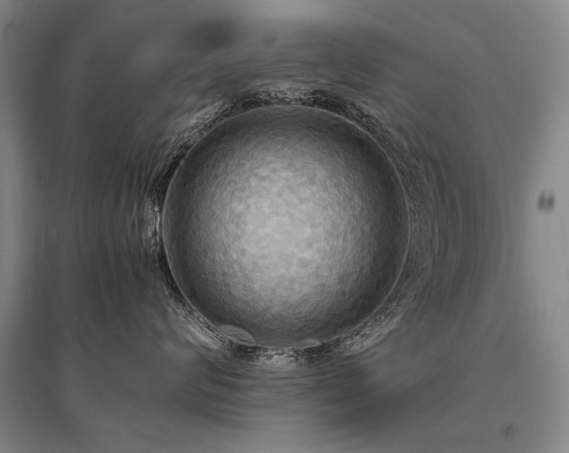 X0000095520624200712141447
