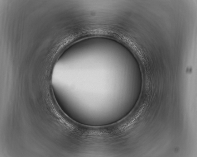 X0000095520625200712141446