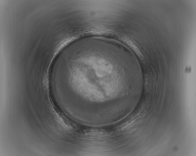 X0000095520626200712141446