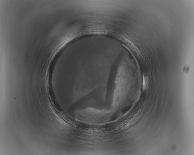 X0000095520627200712141446