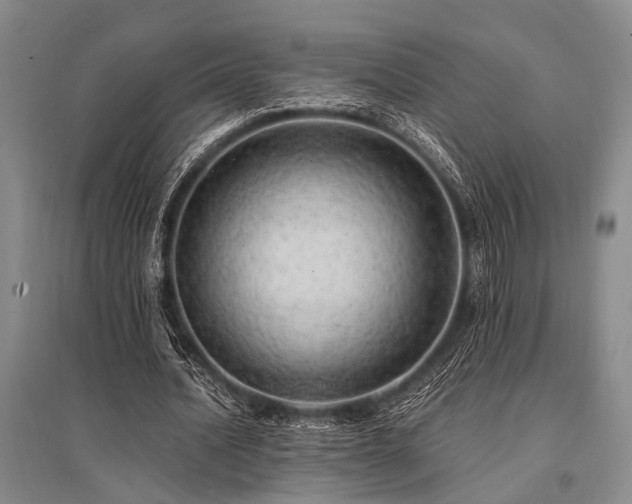 X0000095520628200712141446