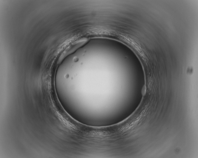 X0000095520629200712141446