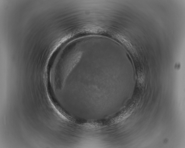 X0000095520630200712141446