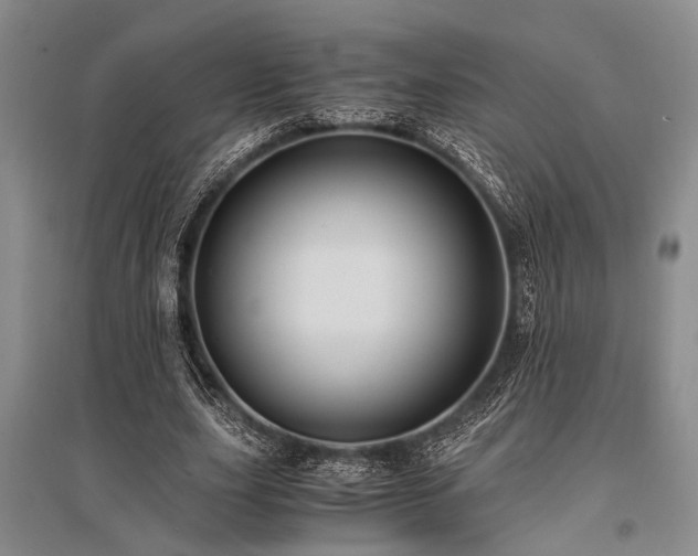 X0000095520631200712141446